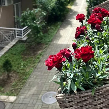 Apartment, Vrnjacka-banja, Raj Lejlighed