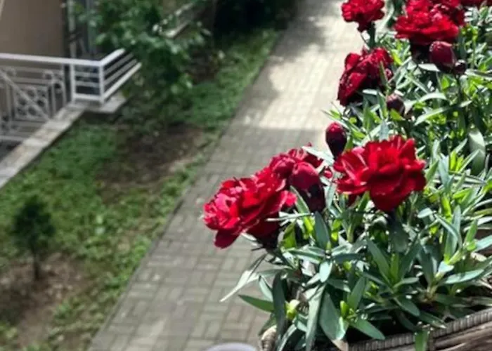 Apartment, Vrnjacka-banja, Raj Апартаменты