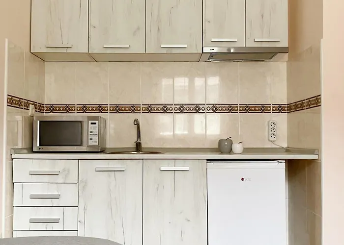 Apartment, Vrnjacka-banja, Raj Апартаменты Врнячка-Баня